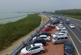 巢湖到合肥汽车多少钱