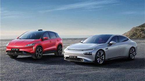 小鹏汽车利润 收入多少