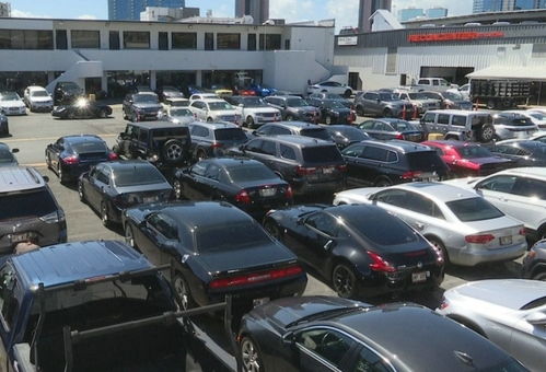 多少人喜欢汽车销售