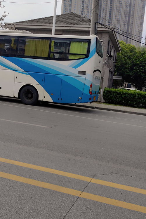 金城江到凤山汽车多少点