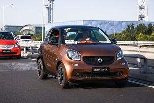 德国有多少名牌汽车