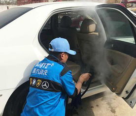 汽车消毒要多少钱