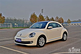 甲壳汽车多少钱