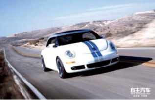 甲壳汽车多少钱