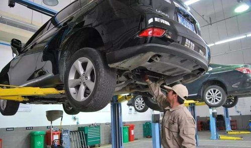 去外面汽车保养多少钱