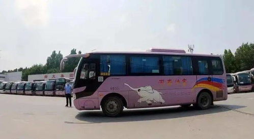 合江汽车站班次多少