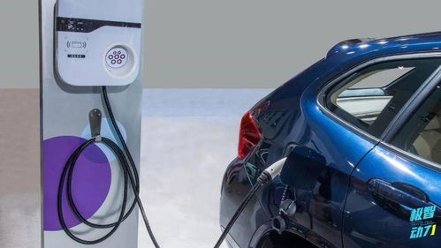 充电的汽车多少钱