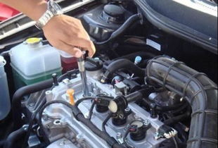 汽车活花塞多少钱