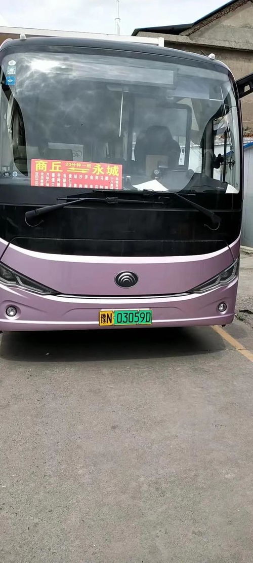 竹溪汽车到商丘多少钱