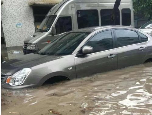 河南汽车泡水多少 河南汽车泡水多少