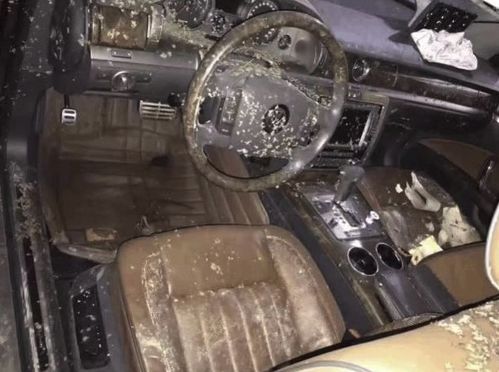 河南汽车泡水多少 河南汽车泡水多少