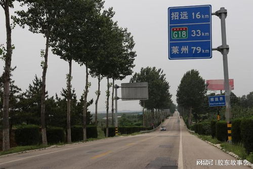 招远到徐州汽车多少钱