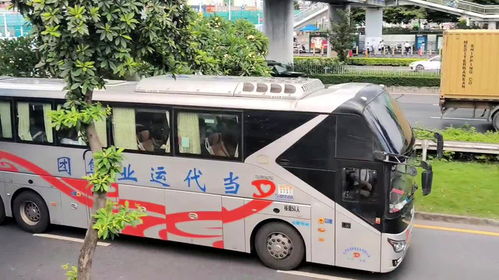 三亚到海口汽车多少钱