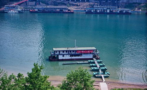 汽车过长江轮渡多少钱