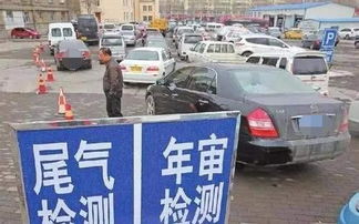 新汽车年审要多少费用