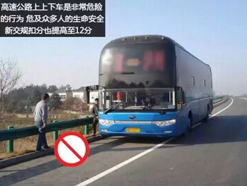 阜阳到西平汽车多少公里 阜阳到西平汽车多少公里