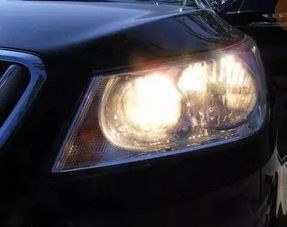 汽车卤素灯泡多少钱