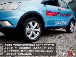 qq汽车加多少号汽油