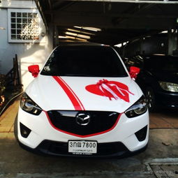 白马汽车多少钱