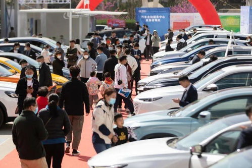 昌图到大提汽车多少点