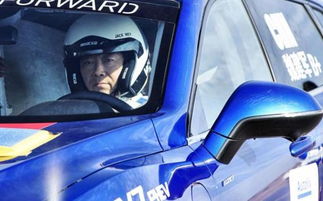 长城丁丁汽车自重多少吨