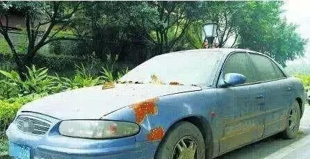 汽车停多少公里合适开 汽车停多少公里合适开