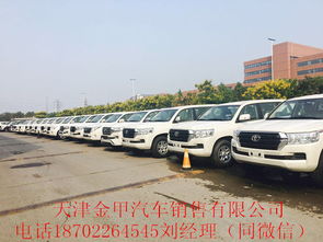 天津汽车号多少钱 天津汽车号多少钱