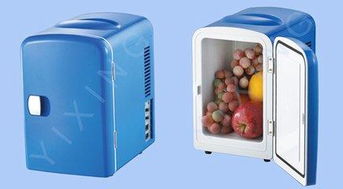 汽车赠送冰箱多少钱