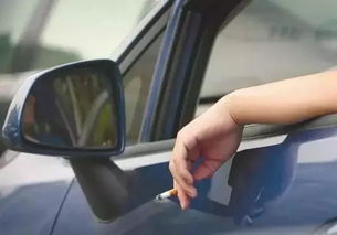汽车垃圾桶收费多少