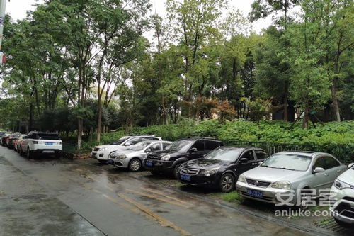 中南汽车世界租金多少 中南汽车世界租金多少