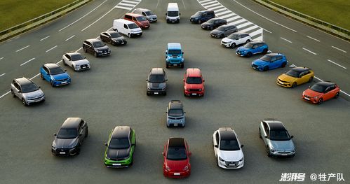 法国汽车巨头收费多少