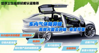 汽车除味多少钱
