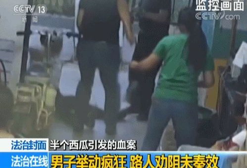 1家3口被撞身亡案 凶手2次加速