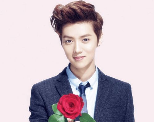 五哈谈鹿晗老舅缺席