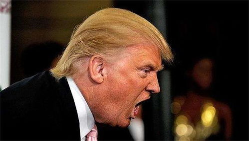 特朗普再遭\死亡威胁\