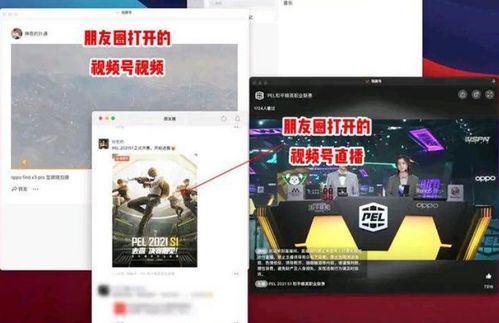 微信上线新功能 网友:适合摸鱼