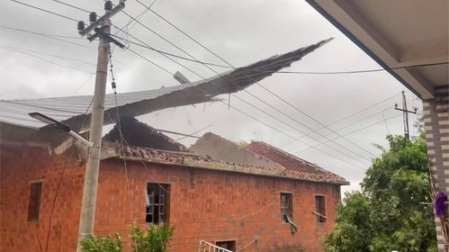 大风天气网友家房顶被吹飞了