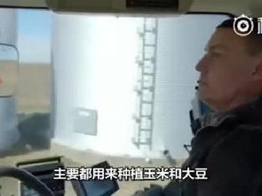 美国豆农哭了:这个国家完蛋了 美国豆农哭了:这个国家完蛋了