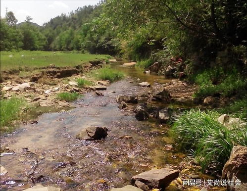 因记得外婆家竹林被拐30年后找到家