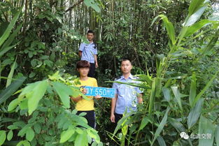 因记得外婆家竹林被拐30年后找到家