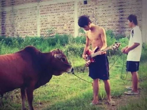 牛弹琴:特朗普对两件事表现得很急 牛弹琴:特朗普对两件事表现得很急