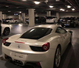 酷似张翰网红为圆梦买了辆迈巴赫