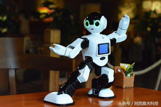 身高仅75cm机器人边跑边打招呼卖萌
