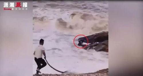 两中国公民被海浪卷走致1死1失踪