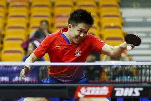 中国男乒为何经常失冠? 中国男乒为何经常失冠?