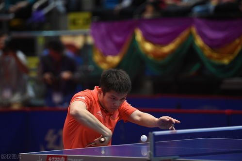 巴西选手雨果世界杯夺冠创历史