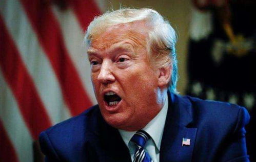 反特朗普抗议席卷全美50州