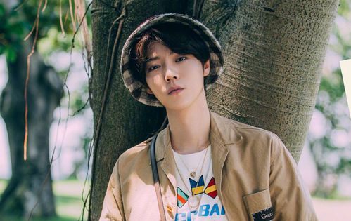 陈赫回应鹿晗关晓彤感情