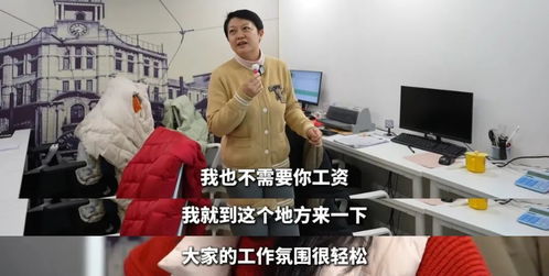 \假装上班公司\真的在上班