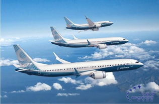 待交付飞机从舟山飞回美国 亏钱算谁的